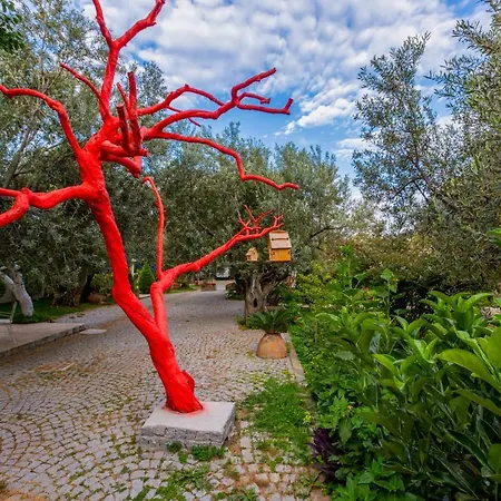 Gurel Garden House 3* كيتشوكويو