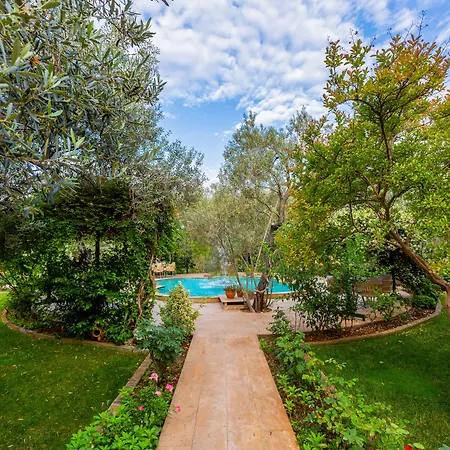 Мотель Gurel Garden House 3*