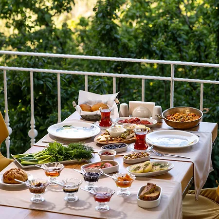 Gurel Garden House موتيل