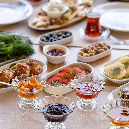 Gurel Garden House كيتشوكويو